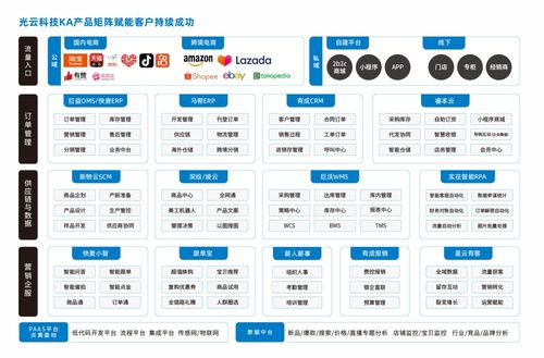 大客捷报频传,品牌商为何偏爱光云科技