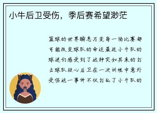 小牛后卫受伤，季后赛希望渺茫