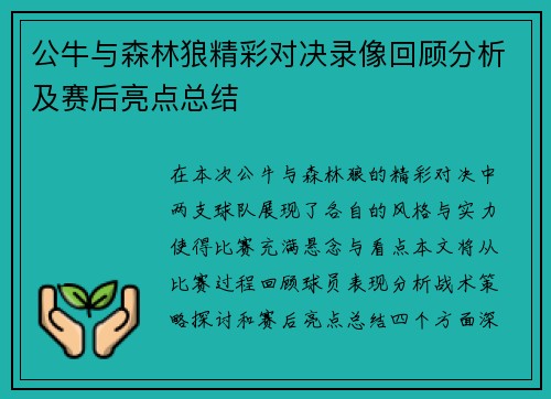 公牛与森林狼精彩对决录像回顾分析及赛后亮点总结
