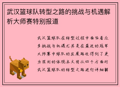 武汉篮球队转型之路的挑战与机遇解析大师赛特别报道