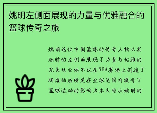 姚明左侧面展现的力量与优雅融合的篮球传奇之旅